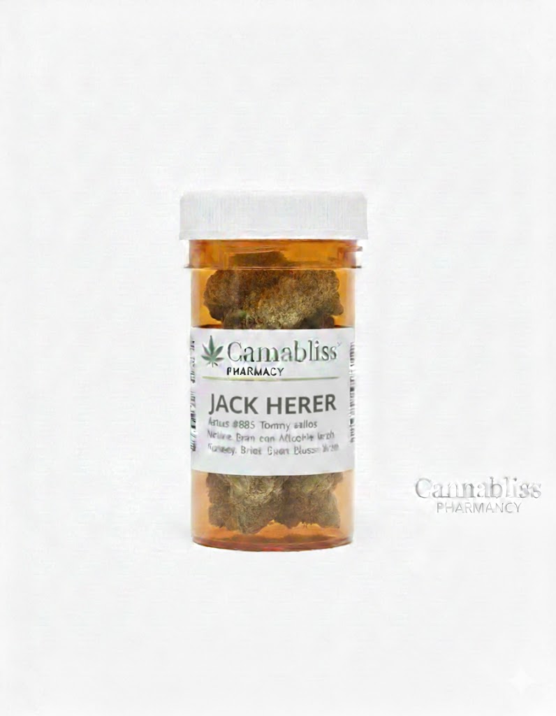 Jack Herer Strain - Medical Cannabis Australia